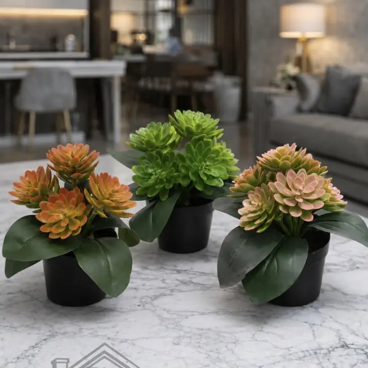 🌸Suculentas decorativas🌸's photo #1