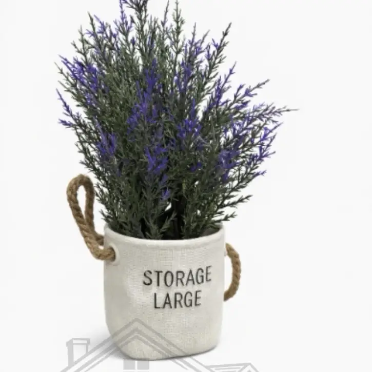 Maceta minimalista con lavanda's photo #1