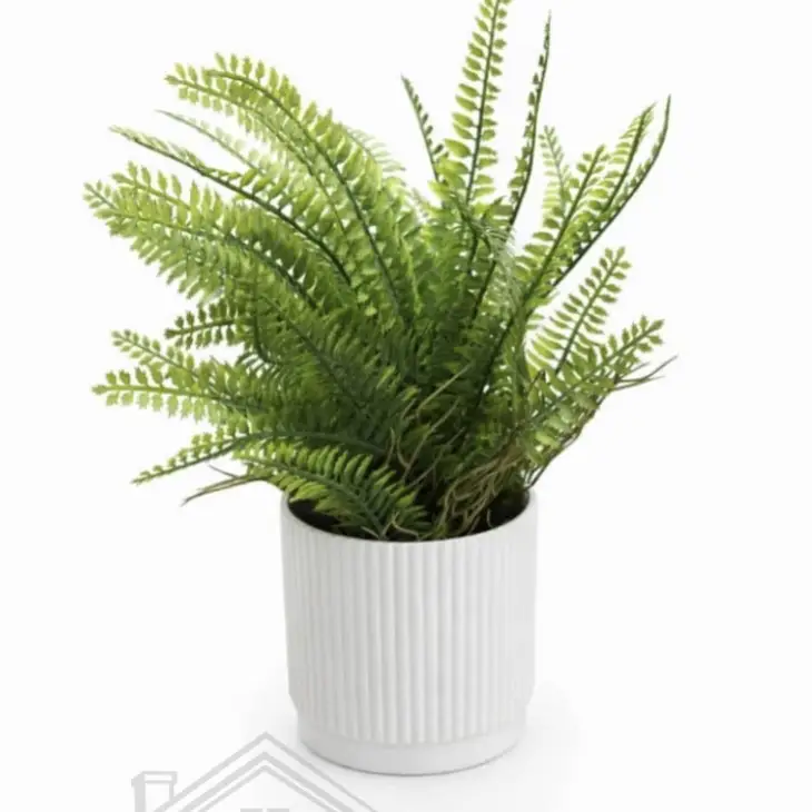 Plantas decorativas con acabado realista's photo #1