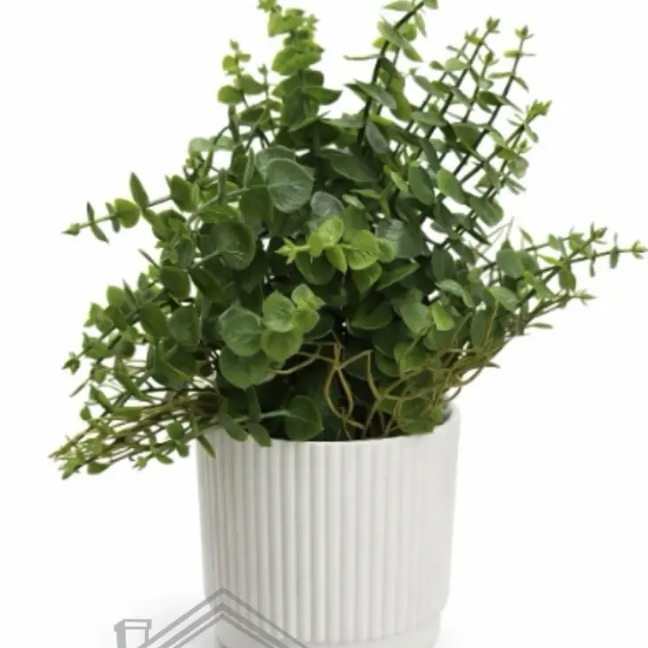 Plantas decorativas con acabado realista's photo #1